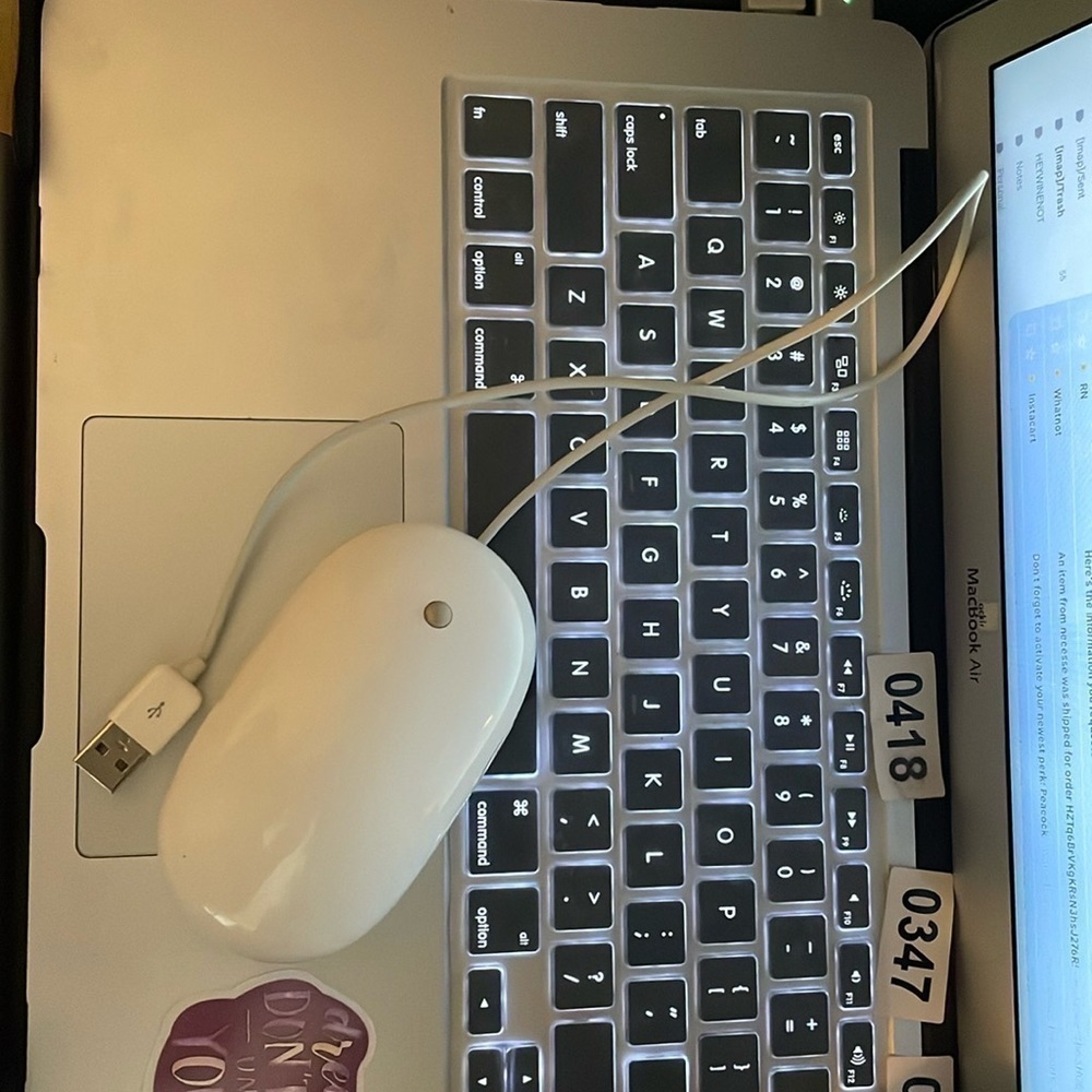 Apple USB mouse